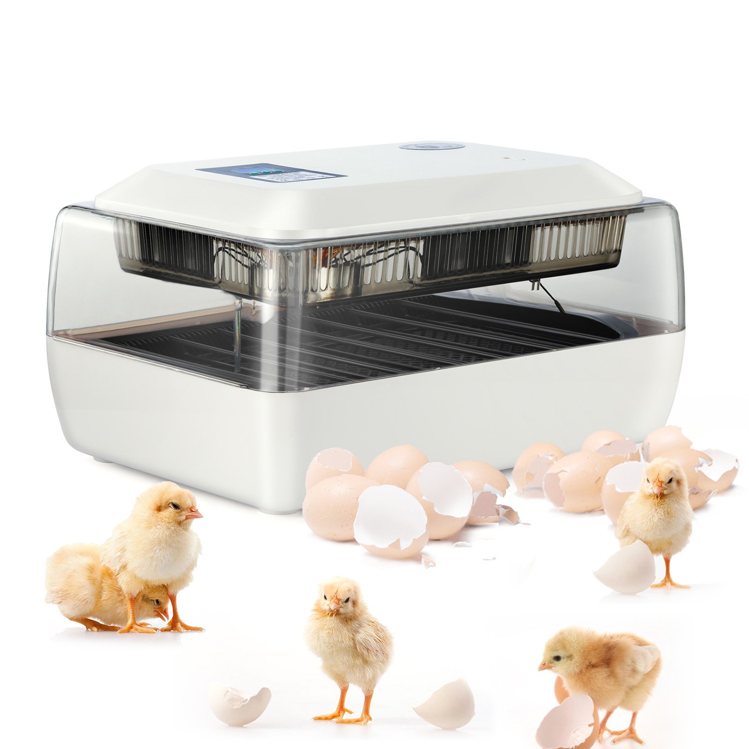 Digital Fully Automatic Egg Incubator 24 Eggs Poultry ...
