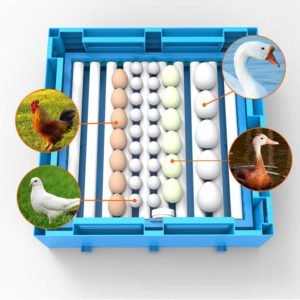 64/128/192/256 Eggs Transparent Hatching Machine Automatic Intelligent Dual Power