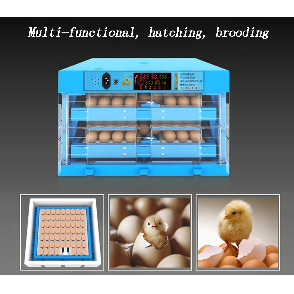 Blue Eggs Incubator 64/128/192/256 Eggs Transparent Hatching Machine Automatic Intelligent Dual Power Chicken Duck Hatcher 64 Eggs - 1 Layer